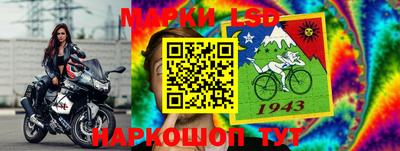 мдма Сланцы