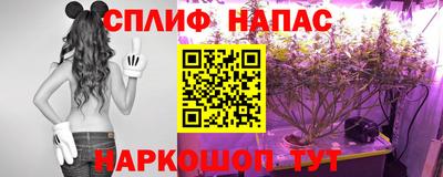мдма Сланцы