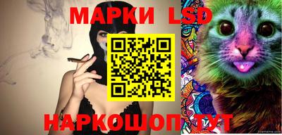 стаф Славгород