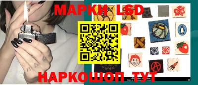 стаф Славгород