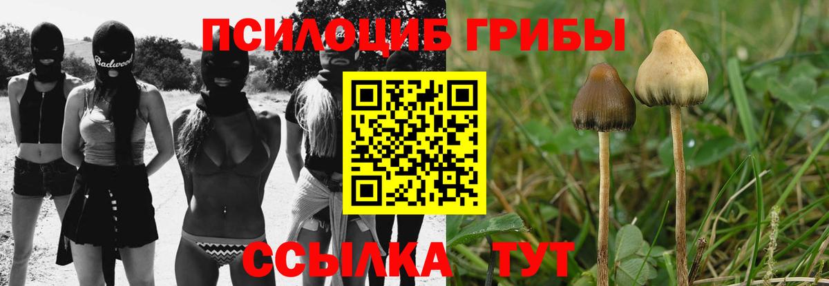 где продают   Вход с VPN  Новокубанск  Галлюциногенные грибы Psilocybe 