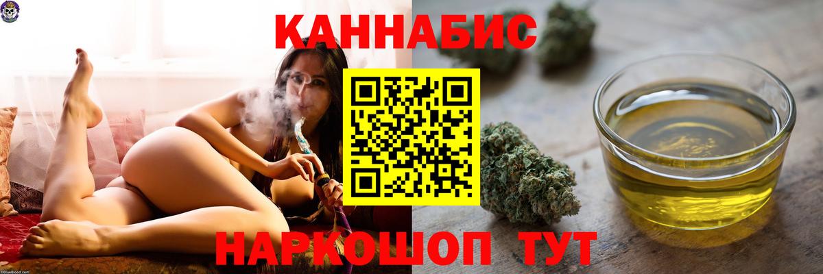 Каннабис план Новокубанск